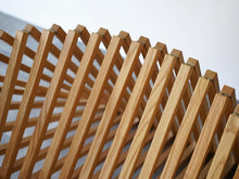 画像をギャラリービューアに読み込む, オランダ モダンデザイン デザイナーズチェア Robert van Embricqs Rising Chair ライジングチェアの一本一本