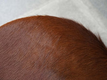 画像をギャラリービューアに読み込む, イヴァンシュレクターの革張りのクッション 牛毛皮の座面 Ivan Schlechter Pouf クッションの表面には牛の毛皮 北欧インテリア