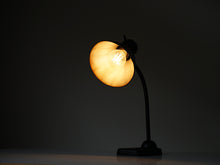 画像をギャラリービューアに読み込む, テーブルランプ点灯時の全体図