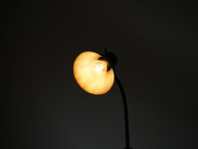 画像をギャラリービューアに読み込む, テーブルランプ点灯時のペンダント