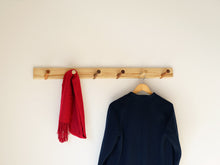 画像をギャラリービューアに読み込む, Thomas E. Alkenのコートラック pp961