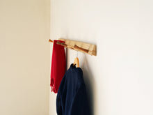 画像をギャラリービューアに読み込む, Thomas E. Alkenのコートラック pp961横から