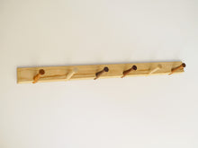 画像をギャラリービューアに読み込む, Thomas E. Alkenのコートラック pp961