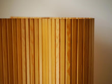 画像をギャラリービューアに読み込む, アルヴァ・アアルトのスクリーン真ん中アップ