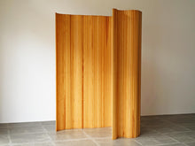 画像をギャラリービューアに読み込む, アルヴァ・アアルトのスクリーン全体図両面