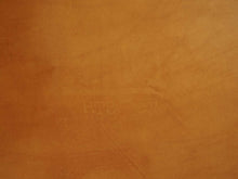 画像をギャラリービューアに読み込む, Arne Jacobsen Egg Chair アルネヤコブセンのエッグチェアの背もたれに何か文字のような日焼け跡