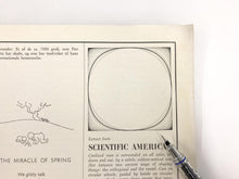 画像をギャラリービューアに読み込む, Bruno Mathsson, Arne Jacobsen, Piet Hein “Supercircular” Model A603 Table
